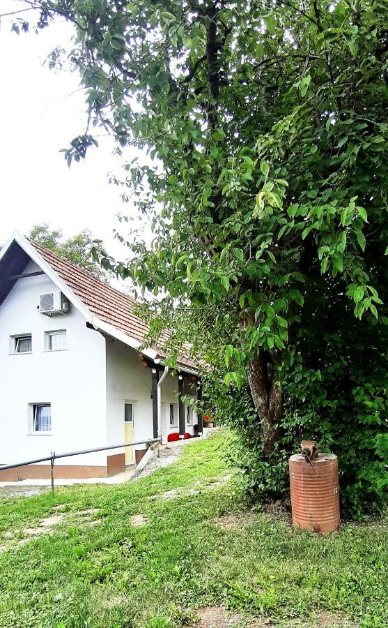 Apartman Nino Tounj Exterior photo