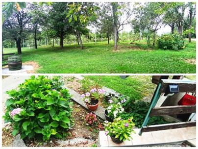 Apartman Nino Tounj Exterior photo